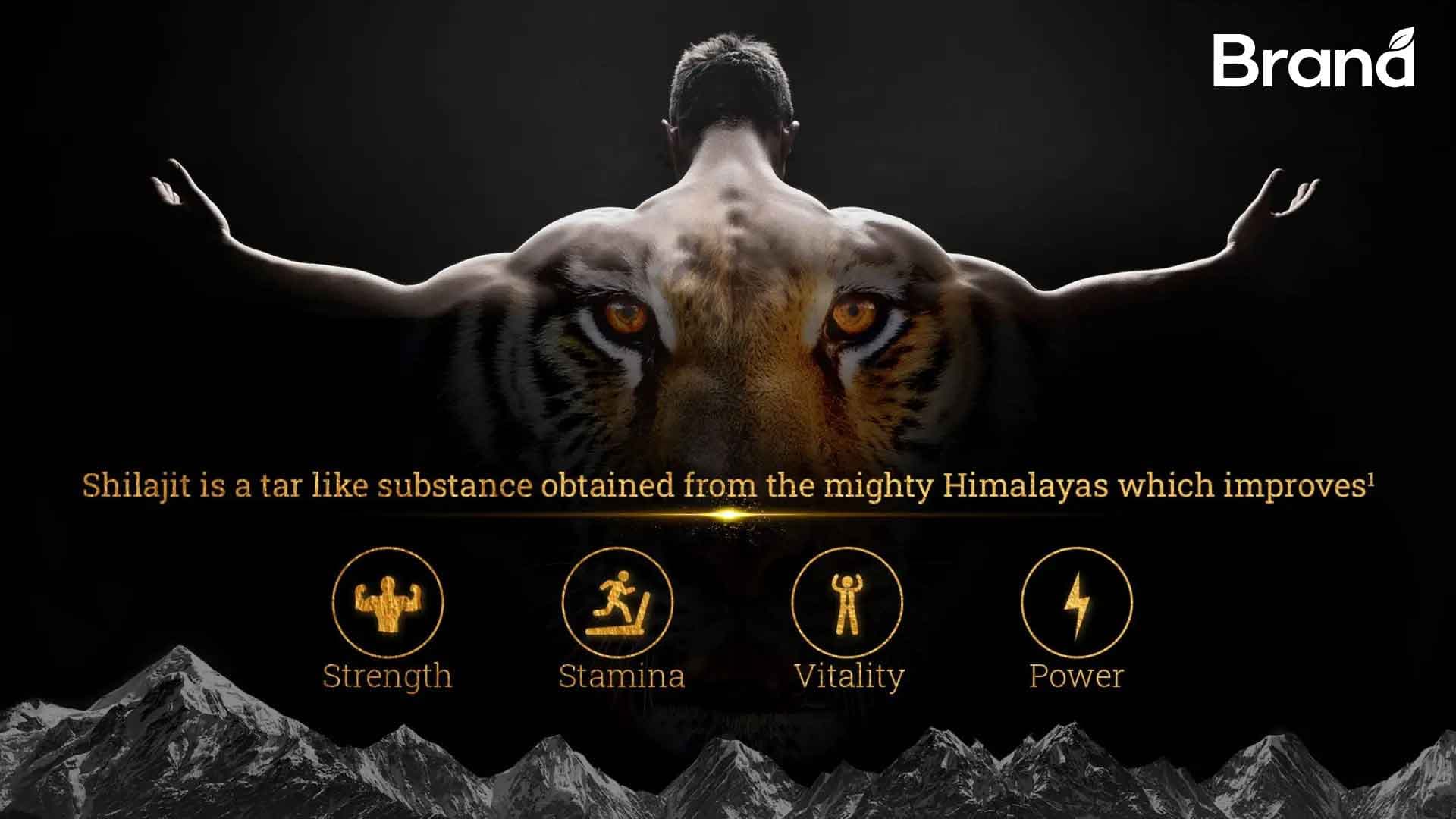 Shilajit benefits infographic design