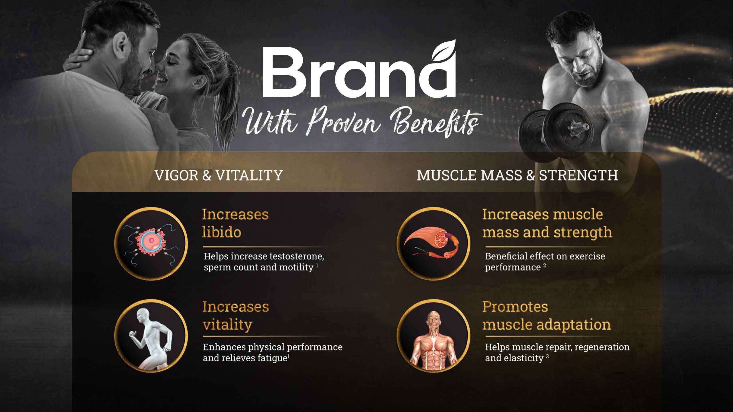 Shilajit vigor and strength benefits infographic design