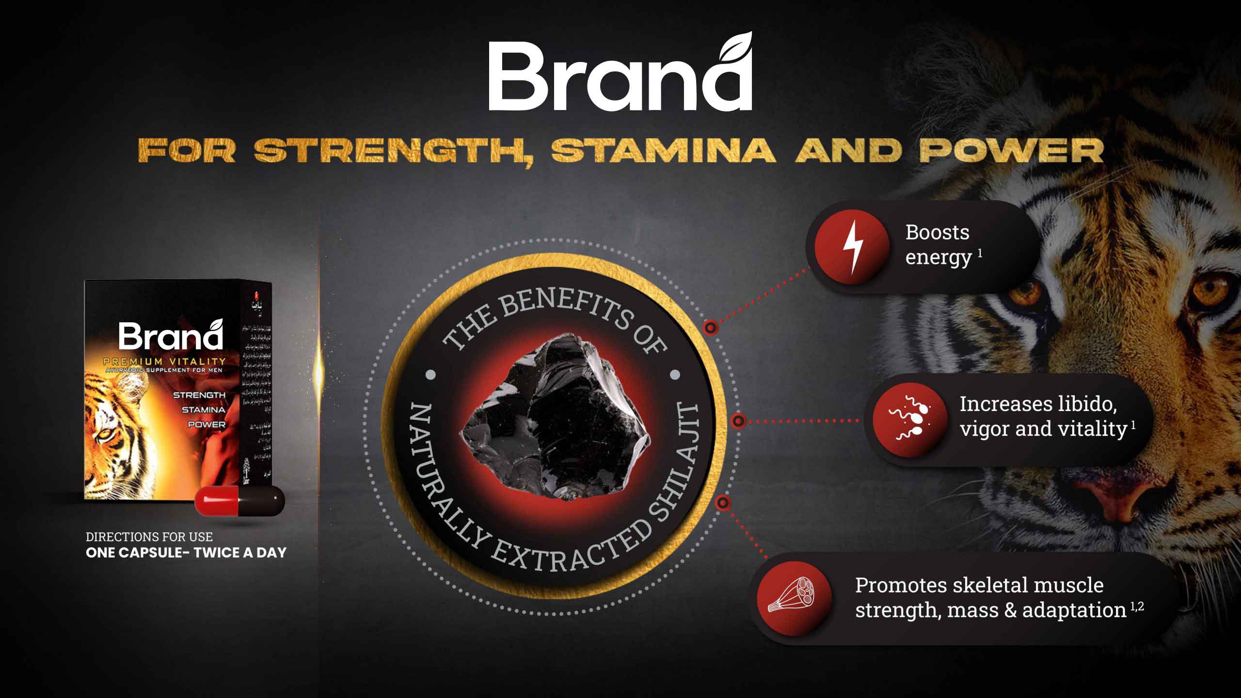 Shilajit capsule benefits infographic design
