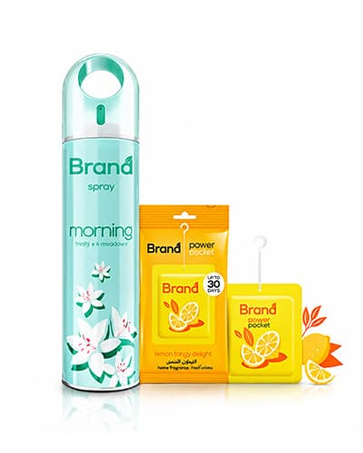 Home Fragrance category