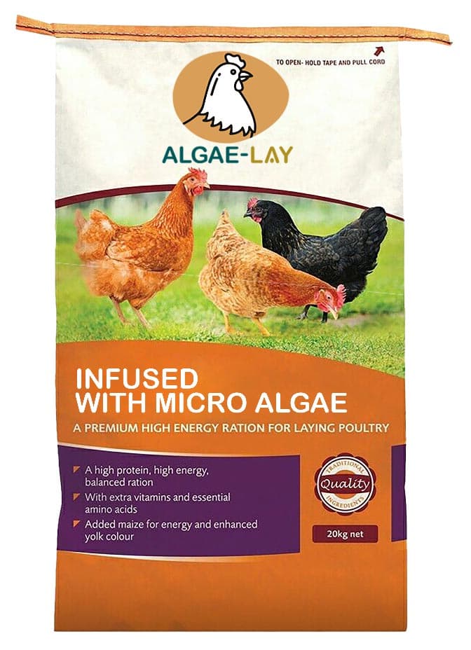 Algae-based feed layout